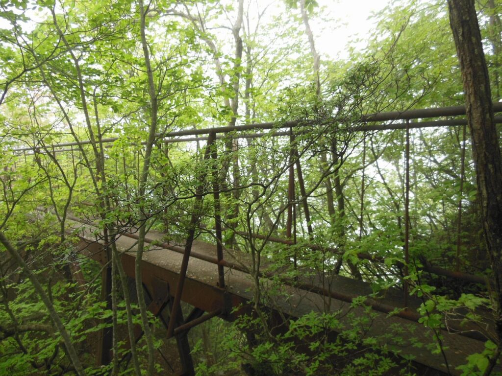 林の中突然現れる見晴台への鉄橋